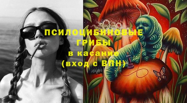 гидропоника Карталы