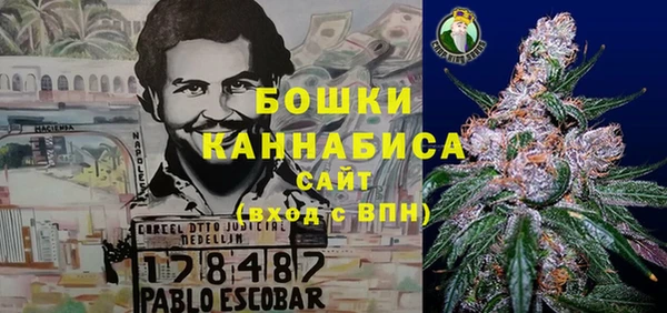 мет Карпинск