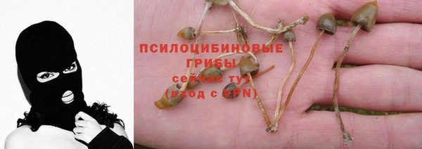 мет Карпинск