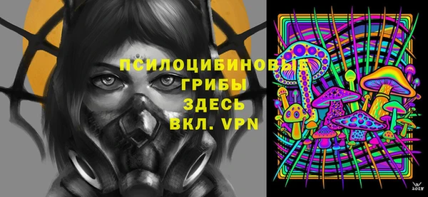 мет Карпинск