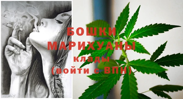 мет Карпинск