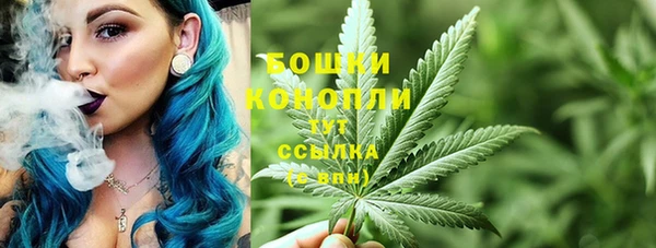 гидропоника Карталы