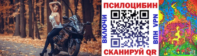 Купить  Володарск  Галлюциногенные грибы MAGIC MUSHROOMS 